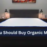 5 Reasons Why You Should Buy Organic Mattress
