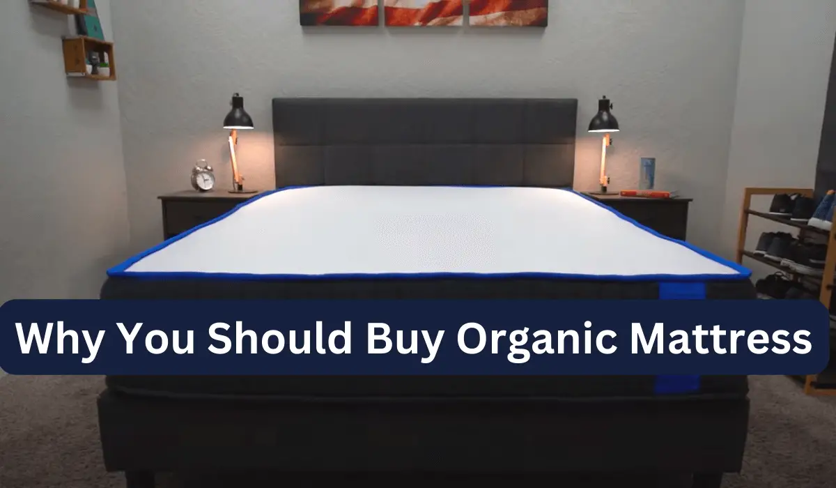Why You Should Buy Organic Mattress