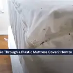 Can Bed Bugs Go Through a Plastic Mattress Cover? How to Prevent Them?